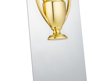 Награда Bowl Gold