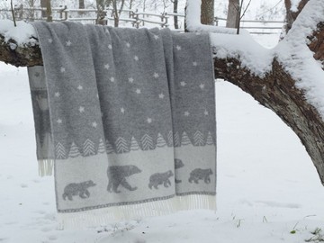 НОВОГОДНИЙ сюжет на пледах