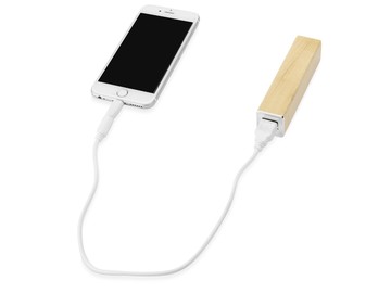 Портативное зарядное устройство «Вуди», 2600 mAh